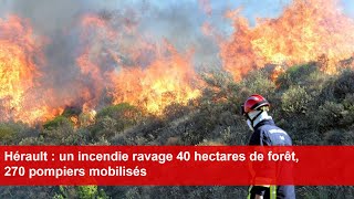 Hérault  un incendie ravage 40 hectares de forêt 270 pompiers mobilisés [upl. by Zuleika]