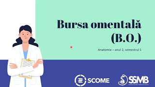 Bursa omentala  Sesiunile de Mentorat SCOME  Anatomie Anul 2 Semestrul 1 [upl. by Otrebor]