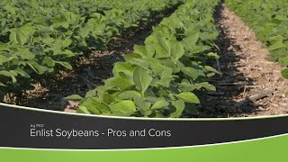 Enlist Soybeans  Pros and Cons From Ag PhD Show 1175  Air Date 101120 [upl. by Arihas]