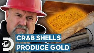 Crab Shells Help Hoffmans Find Big Gold Haul  Hoffman Family Gold [upl. by Enelrad]