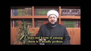 Sunni vs Wahhabi Debate on Saying Ya Muhammad ENG SUBS 12 الرد على دمشقية [upl. by Nnaeirelav660]