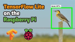 How To Run TensorFlow Lite on Raspberry Pi for Object Detection [upl. by Yemane]