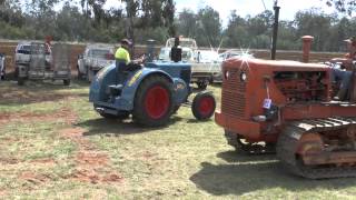 KINGAROY VINTAGE MACHINERY DAY 2014 LANZ BULLDOGS [upl. by Anuahsal]