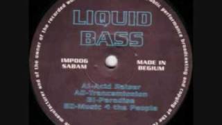 Liquid Bass  Paradise [upl. by Stan926]