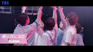 8LOOM ｢Come Again｣ OFFICIAL MV ENGKORCHN SUB【TBS】 [upl. by Weinberg]