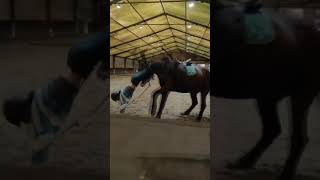 Val van popcorn horse equestrian horses viralshort populair horsefails [upl. by Broeker]