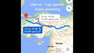 Ulan ne muşu gemlik bursa pezeveng [upl. by Dranrev]