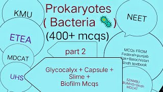 Prokaryotes  Bacteria 400 mcqs Part 2  Glycocalyx  Capsule Slime  Biofilm mcqs [upl. by Constancia]