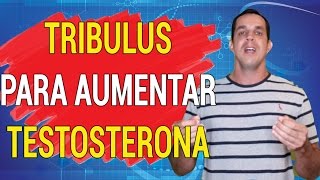 Tribulus Terrestris  Será que Funciona de Verdade Dr Gabriel Azzini [upl. by Wasserman]