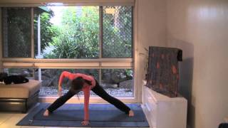 Hatha Yoga for Balance and Harmony 35 minute full class [upl. by Nohtanoj]