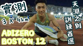 實測 ADIZERO BOSTON 12｜天淵之別｜訓練首選 [upl. by Eiuqnimod]