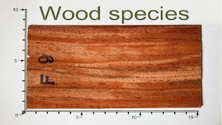 Different wood species  Over 90 woodspecies [upl. by Odlanar5]