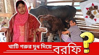 ১০০ খাটি গরুর দুধ দিয়ে বরফি  Cows Milk Sondesh RecipeSweet recipe Bangla  Ep 5O [upl. by Adina]