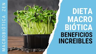 NUTRICIÓN Macrobiótica🌱 5 BENEFICIOS Para Vida HOLÍSTICA [upl. by Adlez]