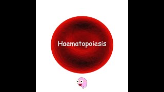 Part 1 Haematopoiesis  Hematopoiesis [upl. by Karisa772]