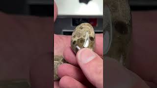 Polishing Petoskey Stones [upl. by Lee]