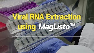 Viral RNA Extraction for testing COVID19 using MagListo™ [upl. by Bert]