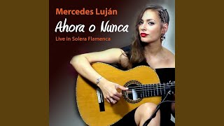 Ahora o Nunca Live in Solera Flamenca [upl. by Cann639]