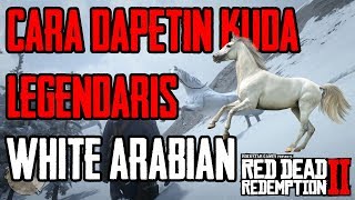 TUTORIAL MENDAPATKAN KUDA LEGENDARIS quotWHITE ARABIANquot DI RED DEAD REDEMPTION 2 [upl. by Nylloc477]