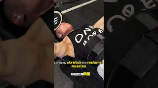 健身干货！立体胸肩 强化训练 详细计划 健身房跟练版！health workout gym chest strength [upl. by Eneluj207]