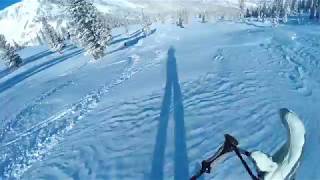 Aspen Snowmass Best Runs  Grey Wolf on Snowmass [upl. by Aloeda190]