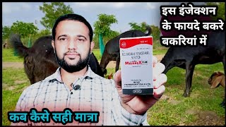 बकरे बकरियों को ये इंजेक्शन Melonex PlusMeloxicam and Paracetamol कौन सी बीमारियों में कब कैसे [upl. by Ahseid144]