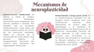 neuroplasticidad ðŸ§ [upl. by Enaitsirk51]