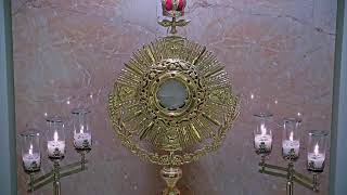 Adorecast – 247 Live Eucharistic Adoration [upl. by Girardo]