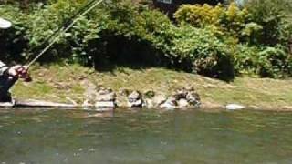 Kalama River WashingtonSummer Steelhead All Eyes on Me [upl. by Carolus]