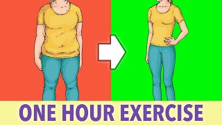 Full Body Fat Burn One Hour Exercise At Home [upl. by Eyde882]