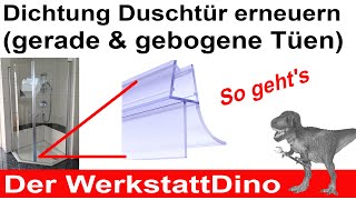 Duschtür Dichtung erneuern [upl. by Ahsikrats]