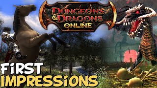 Dungeons amp Dragons Online First Impressions quotIs It Worth Playingquot [upl. by Nemzzaj]