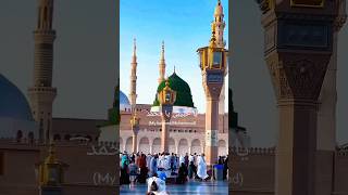 Ya Nabi SalamAlyaka Arabic naat islamicmusic islam shorts ytshorts [upl. by Anirrok816]