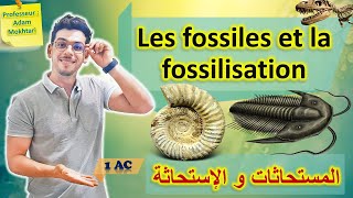 Les fossiles et la fossilisation  1AC Partie 1  المستحاثات و الإستحاثة [upl. by Vala626]