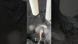 gyratory sifter  Crushed lithium battery recycling materials screening equipment [upl. by Yasmin]