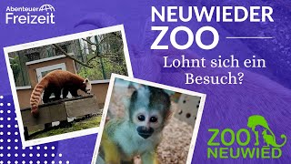 Entdecke den Neuwieder Zoo Tierabenteuer für die ganze Familie im größten Zoo in RheinlandPfalz [upl. by Ameerak91]