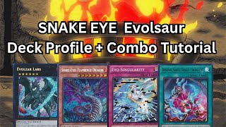 Snake Eye Evolsaur Deck Profile  Combo Tutorial POST PHANTOM NIGHTMARE [upl. by Lomaj662]