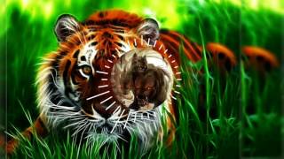 Eye Of The Tiger  POWER METAL [upl. by Yennep]