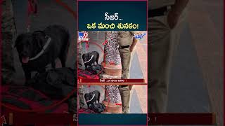 iSmart News  సీజర్ ఒక మంచి శునకం  Police Dog  TV9 [upl. by Rapp]