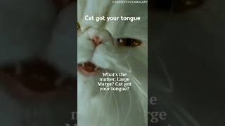 Cat got ur Tonguephrase englishlanguagelearning learnenglish wordoftheday enrichyourvocabulary [upl. by Akined]