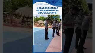 Viral Cekcok Panas Kalapas Waingapu Dicecar Habis Bawahan Diduga Korupsi Tak Bisa Pak Kami Bersih [upl. by Kcirre417]