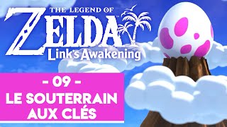 ZELDA LINKS AWAKENING REMAKE 09  LE SOUTERRAIN AUX CLÉS [upl. by Rozella]