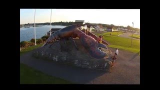 Shediac Lobster [upl. by Nollie498]