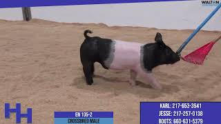 1052  Heimer Hampshires  Jan 3 2024 Sale [upl. by Tadeo]