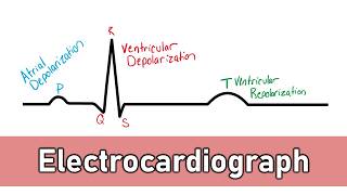 ECG Basics [upl. by Oilejor491]