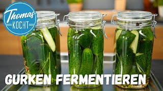 Fermentierte Gurken  super lecker und gesund [upl. by Heck]