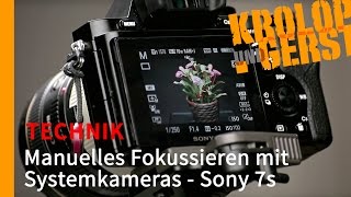 Manuell fokussieren mit spiegellosen Kameras  Sony Alpha 7s 📷 TECHNIK 📷 KrolopampGerst [upl. by Ateerys666]