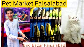 Pet market faisalabad bird bazar faisalabad hassivlogs [upl. by Magee249]