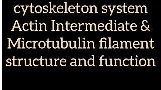 cytoskeleton system Actin Intermediate amp Microtubulin filament structure and function hindi english [upl. by Helsa140]