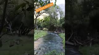 ojodeagua bustamante nuevoleon nature mexico explore ruta mujerviajera [upl. by Retsev]